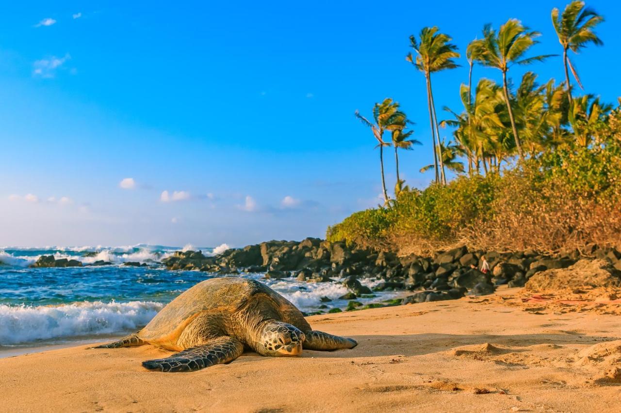 Hawaiian Monarch 2108 Condo Honolulu Dış mekan fotoğraf